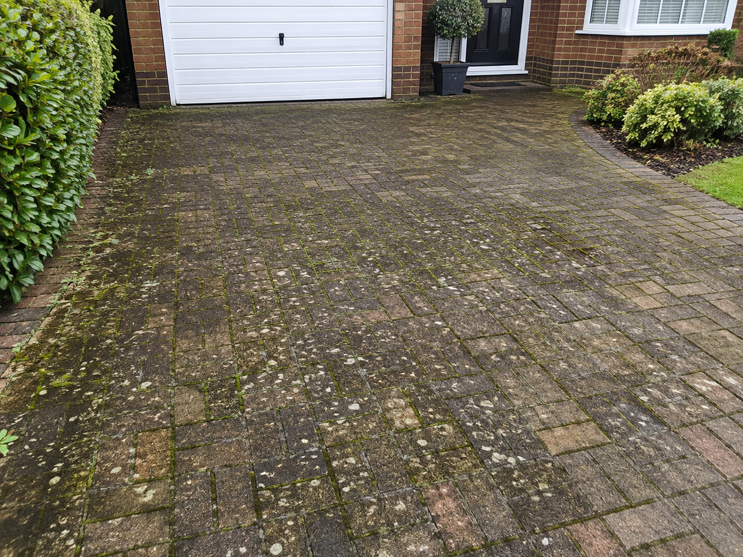 Driveway & Patio Cleaning before cleaning